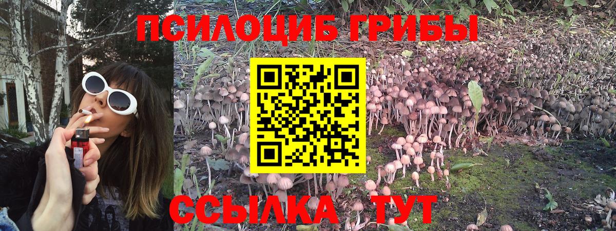 магазин продажи наркотиков  Псилоцибиновые грибы Cubensis  Вход с VPN  Вышний Волочёк 