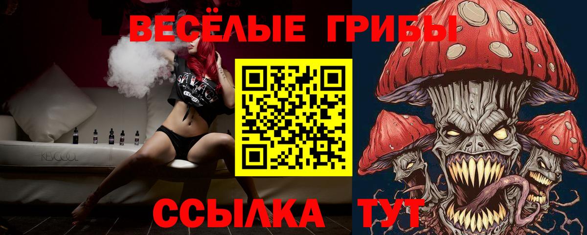 Галлюциногенные грибы мицелий Вышний Волочёк